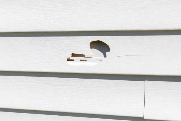 How To Choose The Right Materials for Your Siding Installation in 'Macon, MO